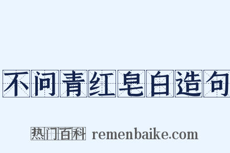 不问青红皂白造句是什么意思的图片